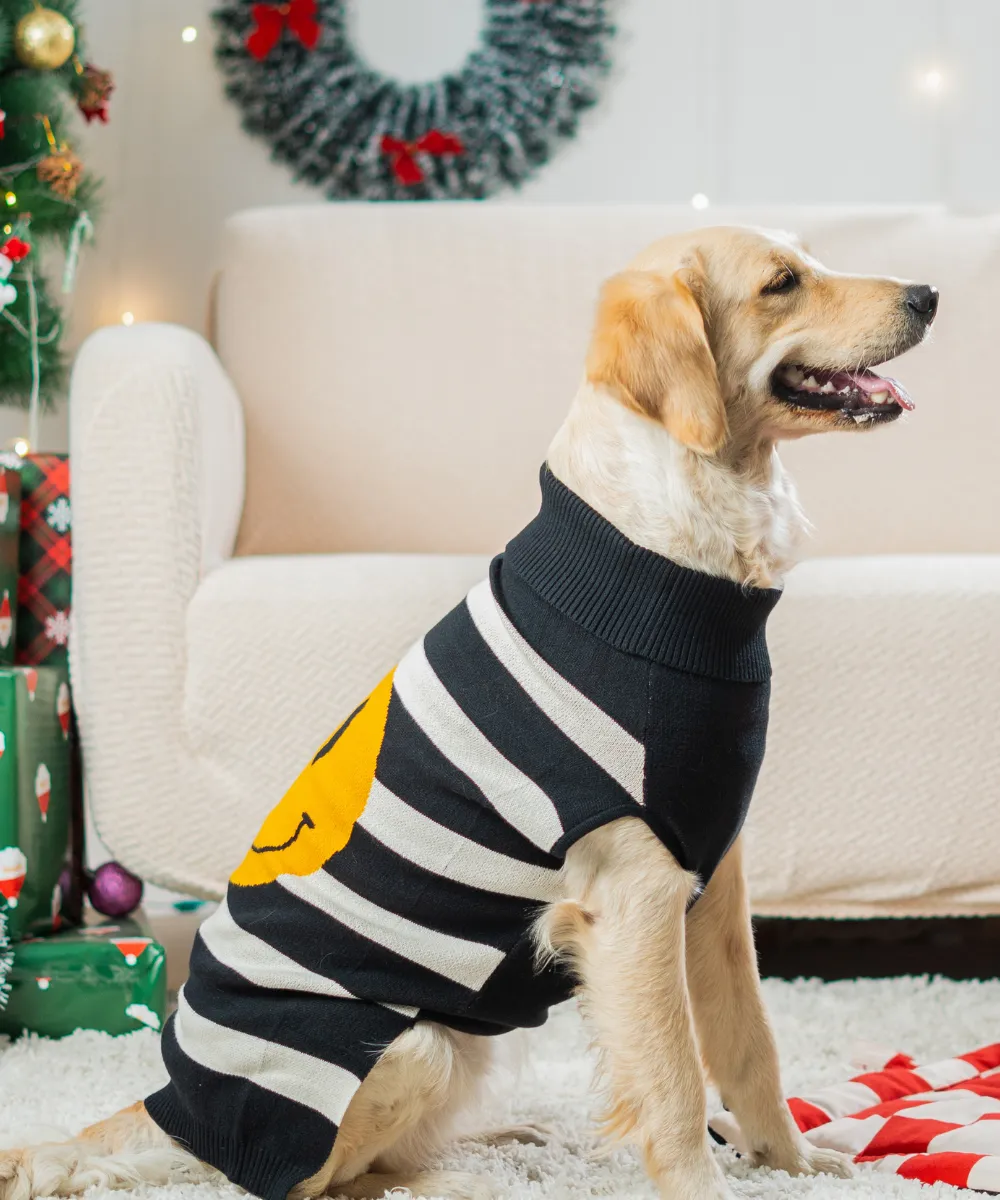 Pack of 2 Dog sweaters Frosty