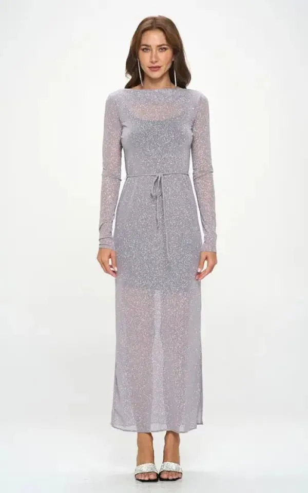 Renee C - Mesh Glitter Dress with Lining